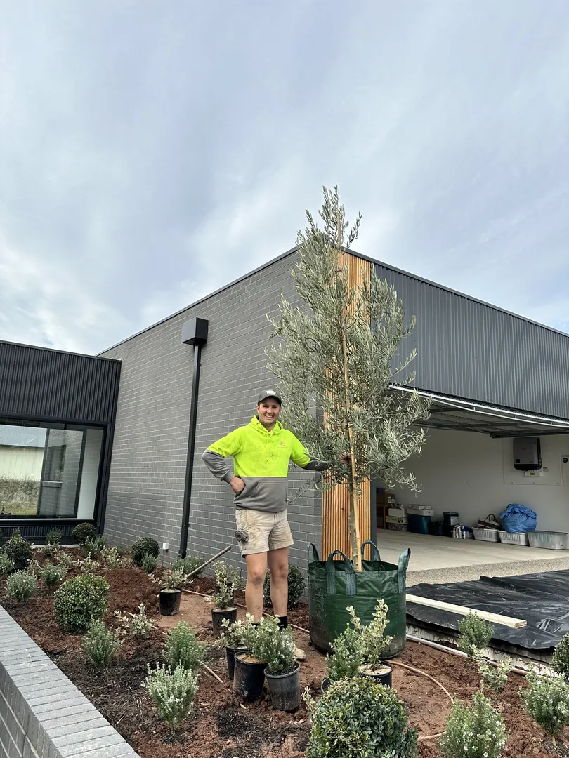 Man planting tree outside modern house.